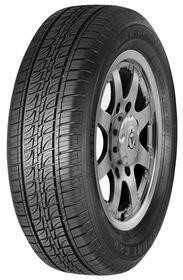 Wild Spirit Sport CXV